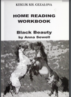 Home Reading Workbook