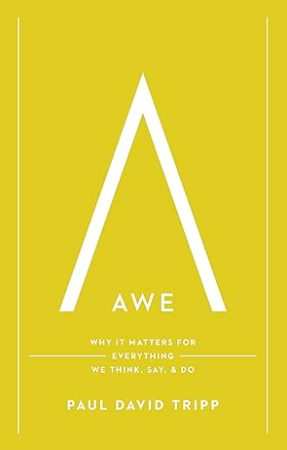 Awe: Why It Matters for Everything We Think, Say, and Do