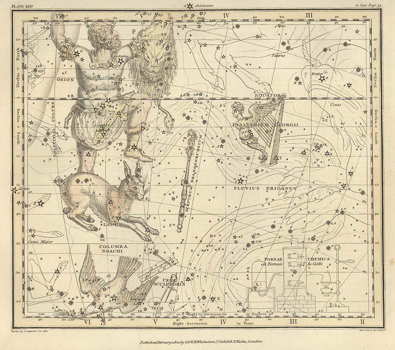 Orion, Dovşan, Brandenburq Əsası,  Göyərçin