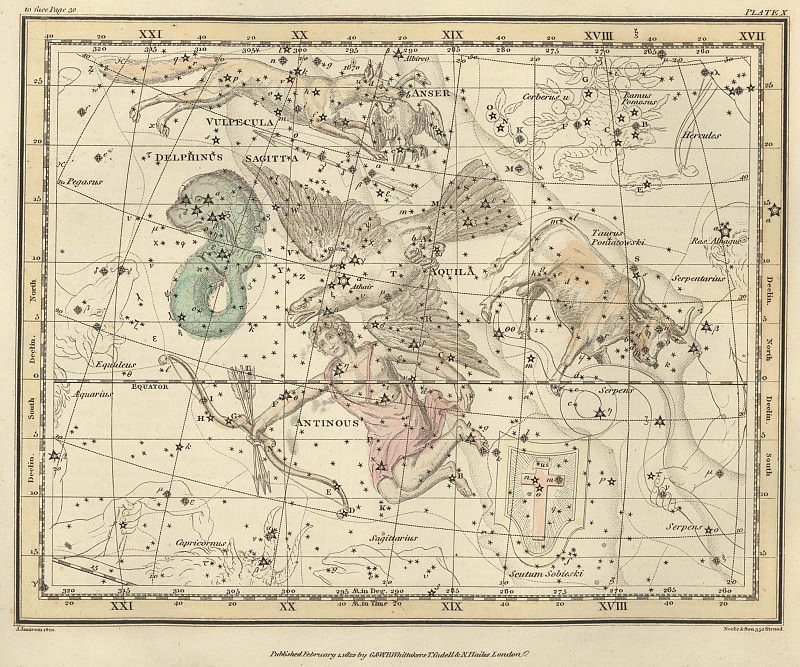 Tülkü, Qaz, Ox, Delfin, Qartal, Antinous,  Buğa, Qalxan