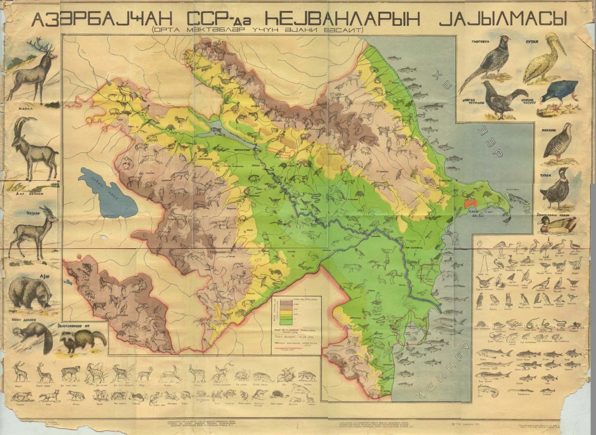 Azərbaycanda heyvanların yayılması xəritəsi